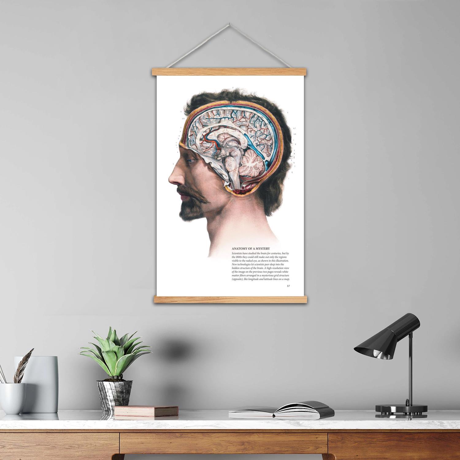 Beyin Çerçeveli Duvar Resmi Ka - Art Print Framed incelemesi ve fiyatı